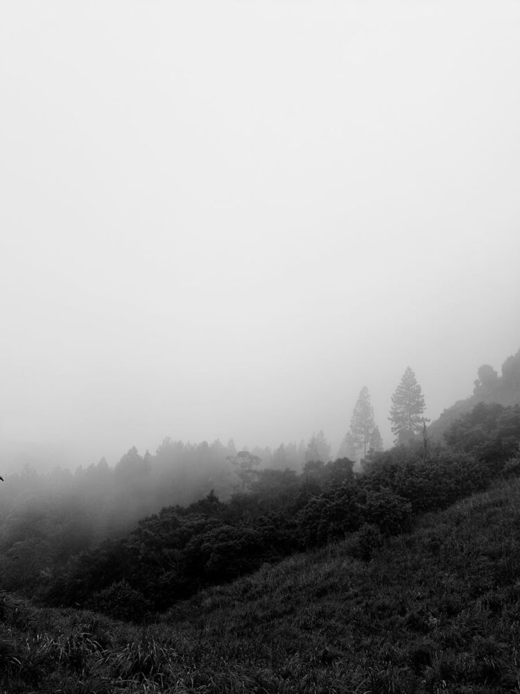 At the end of hardship comes happiness.His company acquired Flickr, Don MacAskill Co-Founder & CEO of SmugMug Chats with Positive Phil.