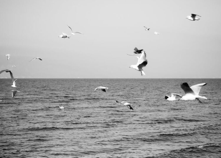 At the end of hardship comes happiness.His company acquired Flickr, Don MacAskill Co-Founder & CEO of SmugMug Chats with Positive Phil.