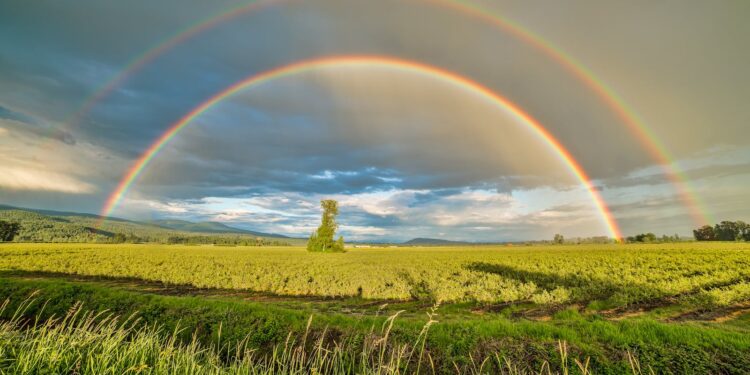 Stunning double rainbow arches over vibrant farmland in Pitt Meadows, BC, Canada.