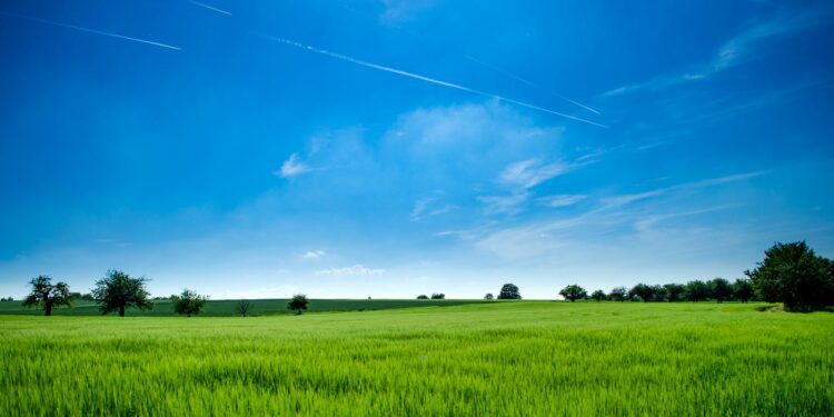 Tranquil rural landscape with lush green field and bright blue sky.