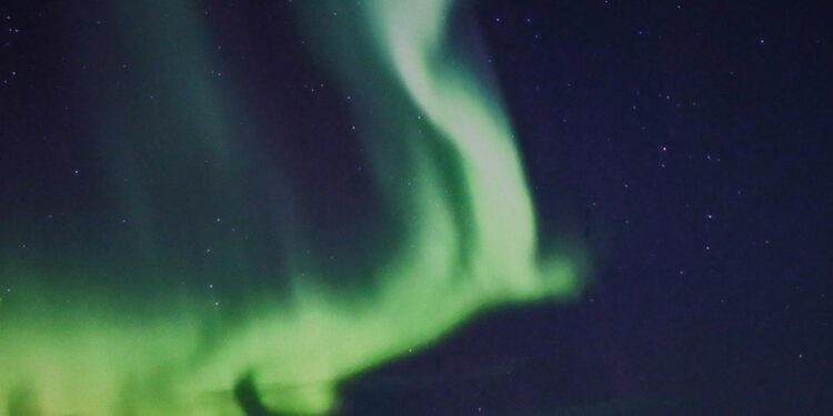 Positive Phil’s Epic Quest: Making Money in Alternative Energy