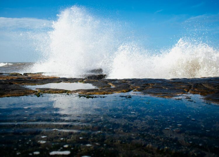 Photo by Gimena Sotomayor