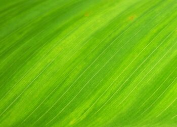 The Green Energy Evolution Is Here Right Now