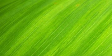 The Green Energy Evolution Is Here Right Now