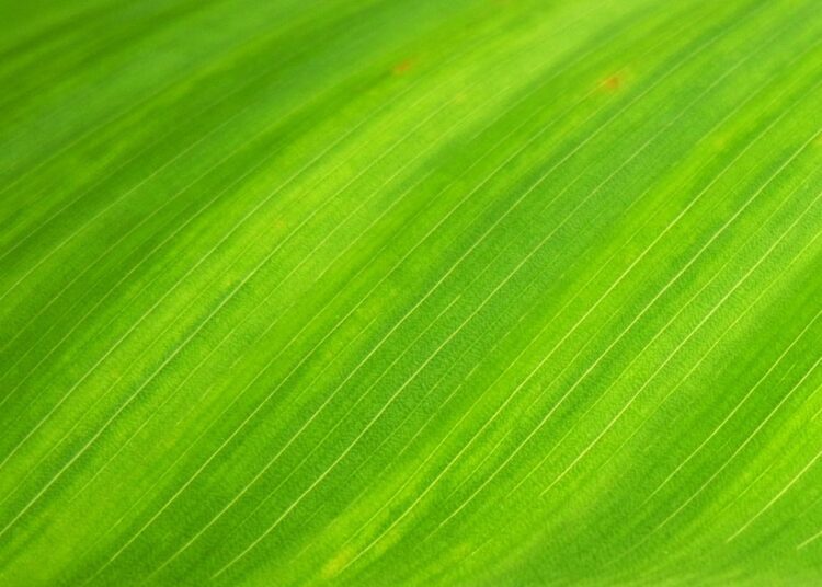 The Green Energy Evolution Is Here Right Now