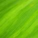 The Green Energy Evolution Is Here Right Now