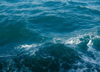 Sailing Toward a Brighter Future: The Cruise Industry’s Inspiring Journey with Sustainability