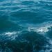 Sailing Toward a Brighter Future: The Cruise Industry’s Inspiring Journey with Sustainability