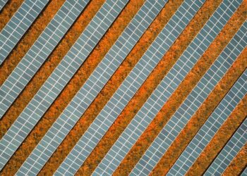 Why Solar’s Worth Fighting For: A Bright Future Awaits!