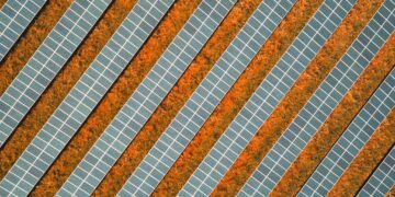 Why Solar’s Worth Fighting For: A Bright Future Awaits!