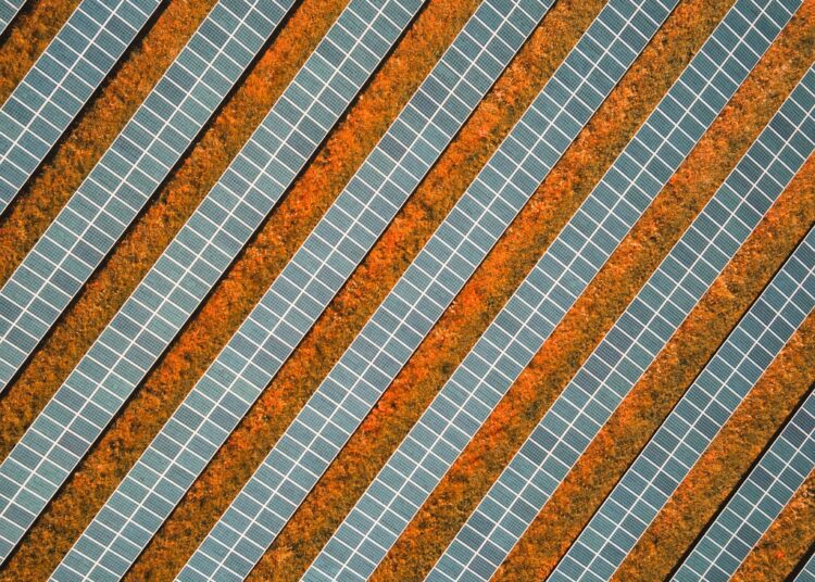 Why Solar’s Worth Fighting For: A Bright Future Awaits!