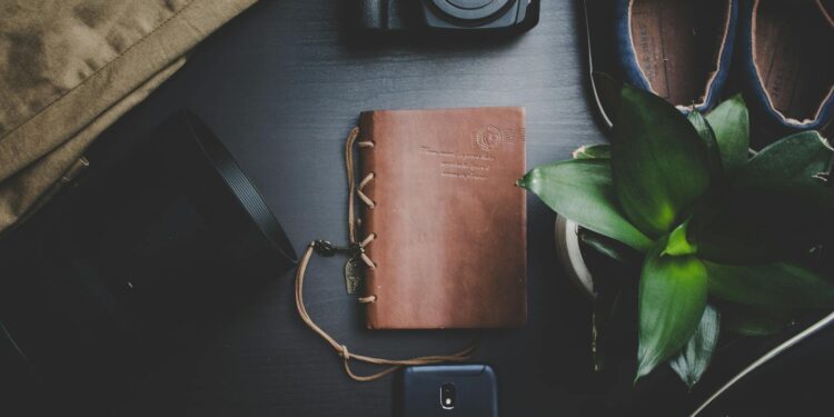 Travel Essentials for a Stress-Free Journey