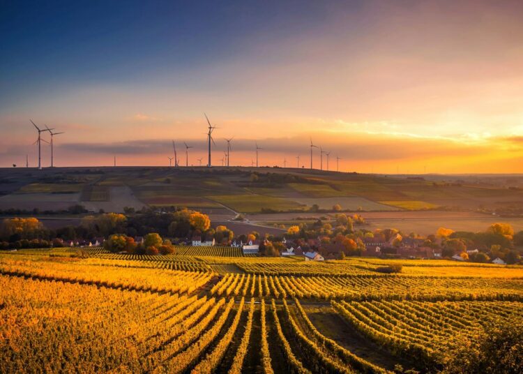 Sustainability and Business Development: Making Money Leasing Land for Renewable Energy