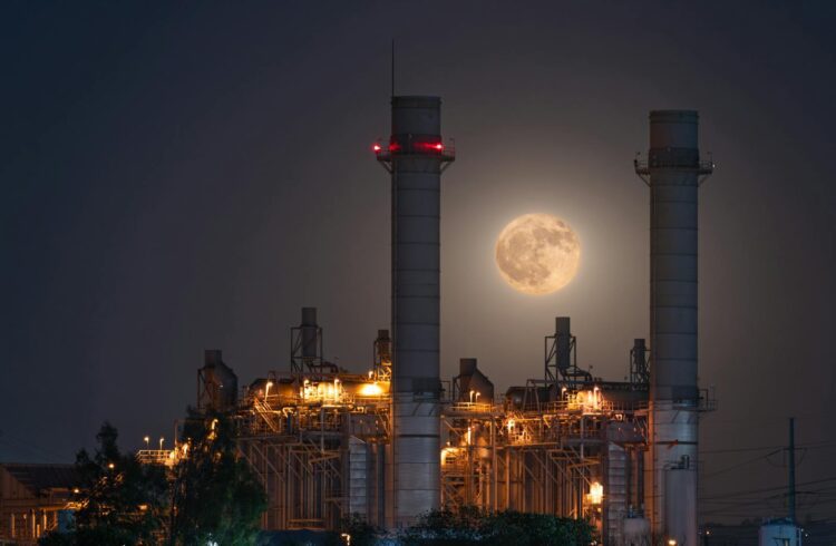 Live Clean, Live Strong: How Sustainability and Eco-Health Lead to Your Best Life