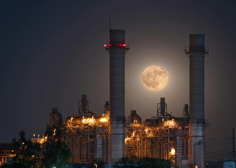 Live Clean, Live Strong: How Sustainability and Eco-Health Lead to Your Best Life