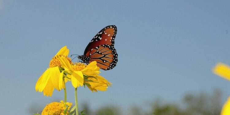 Rise, Grind, and Shine: A Life Fueled by Faith, Hustle, and Heart