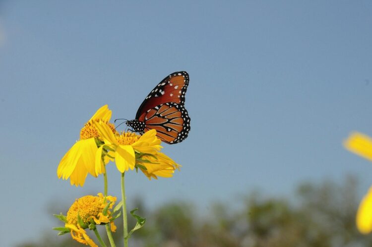 Rise, Grind, and Shine: A Life Fueled by Faith, Hustle, and Heart