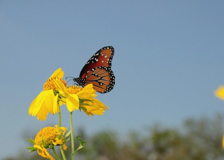 Rise, Grind, and Shine: A Life Fueled by Faith, Hustle, and Heart