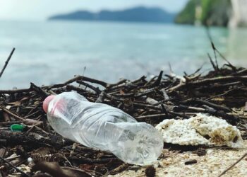 Discarded plastic bottle on a Malaysian beach, highlighting environmental pollution.