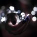 Close-up of a hand holding glowing string lights with a bokeh effect, creating a festive atmosphere.