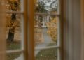 autumn leaves path rain window
