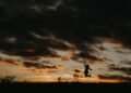 silhouette of jumping person during golden hour