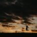 silhouette of jumping person during golden hour