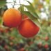 Eat Like You Love the Person Eating: A Kinder Way to Feed Yourself