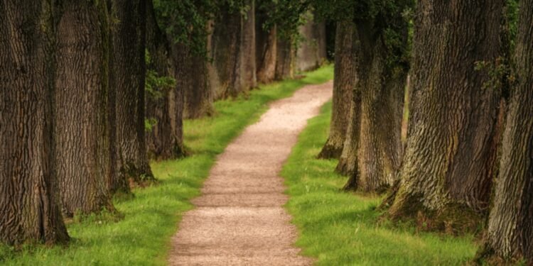 Go Outside Before You Decide It Was a Bad Day