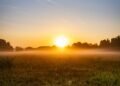 Sunrise over a misty meadow