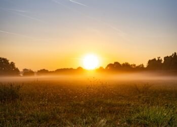 Sunrise over a misty meadow