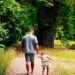 A father and child walking hand in hand down a forest path