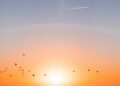 Sunrise Ocean Horizon photo