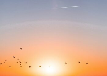 Sunrise Ocean Horizon photo