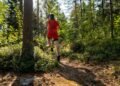 Trail Running Forest photo