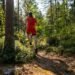 Trail Running Forest photo