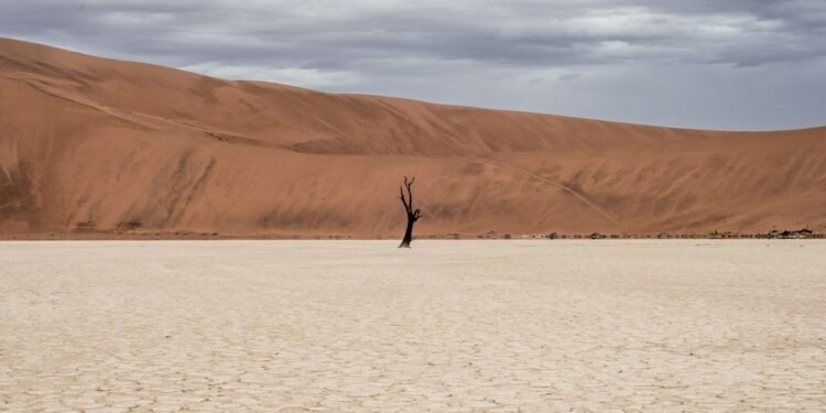Lone Figure Vast Desert photo