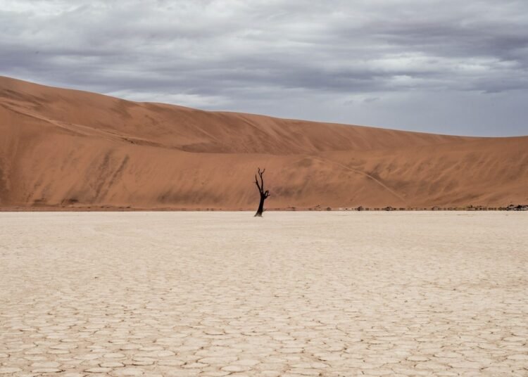 Lone Figure Vast Desert photo