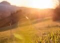 sunrise over green field hopeful