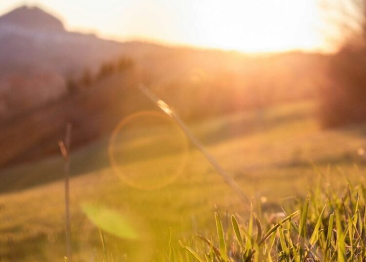 sunrise over green field hopeful