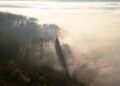 Sunbeams pierce through fog over a misty forest
