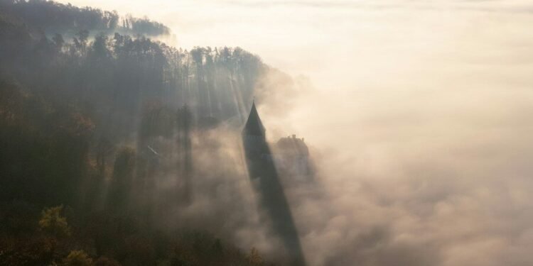 Sunbeams pierce through fog over a misty forest